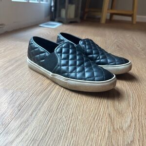 Steve Madden ECENTRCQ BLACK